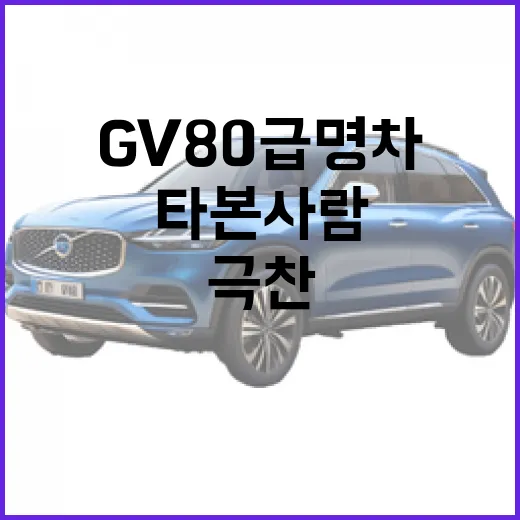GV80급 명차 고르려면 이렇게 보세요: 타본 사람이 극찬하는 이유와 체크 방법 - 요약