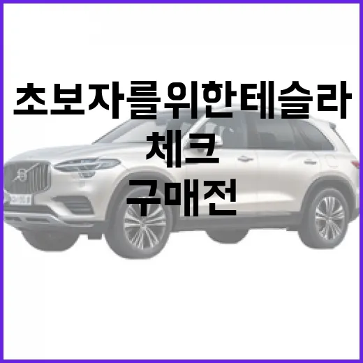 초보자를 위한 테슬라 구매 전 체크하는 방법 - 요약