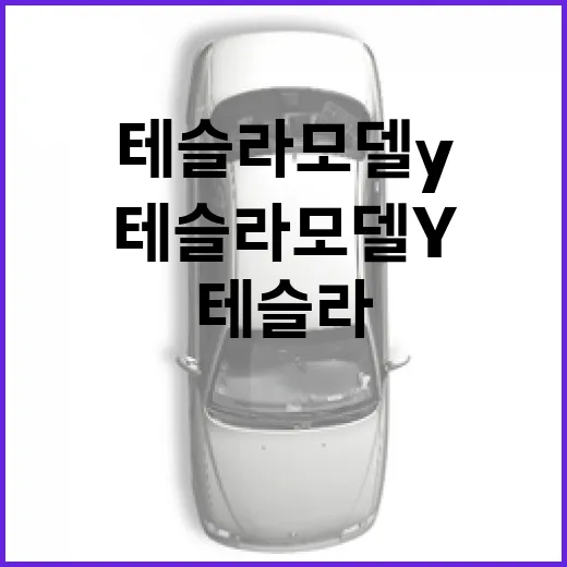 테슬라 모델Y 처음 사려면 이렇게 고르면 됩니다 - 요약