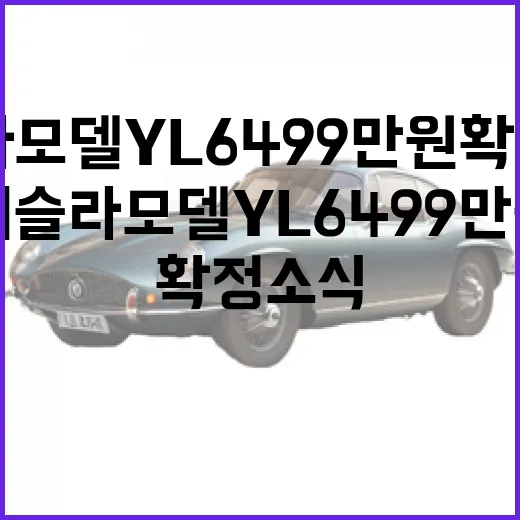 테슬라 모델YL 6499만원 확정 소식, 계약 전 가격 확인하는 방법 - 요약