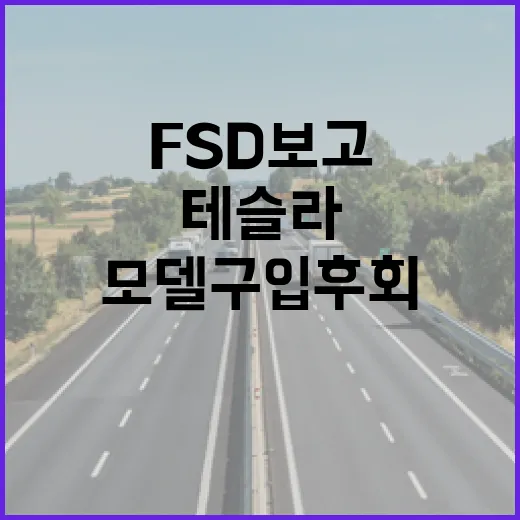 테슬라 FSD 보고 모델 구입 후회 줄이는 방법 - 요약