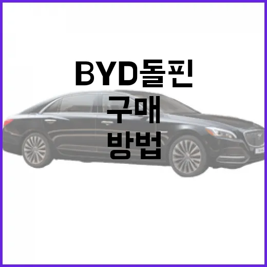 BYD 돌핀 구매 전 확인하는 방법, 가격보다 먼저 볼 포인트 - 요약
