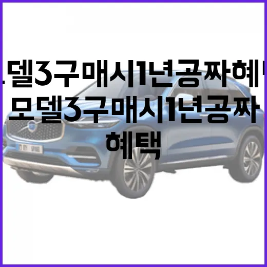 모델3 구매 시 1년 공짜 혜택 제대로 챙기는 방법 - 요약