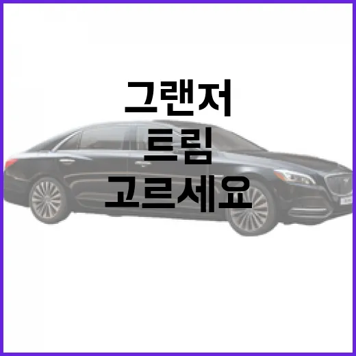 그랜저 사려면 이렇게 고르세요: 엔진, 트림, 옵션 선택 방법 - 요약