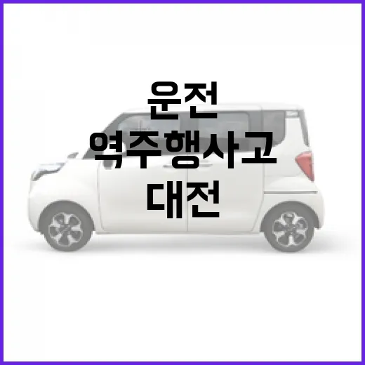 대전 역주행 사고를 피하려면 이렇게 운전하고 대처하세요 - 요약