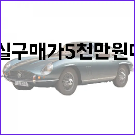 EV9 실구매가 5천만 원대 진실 확인하는 방법 - 요약