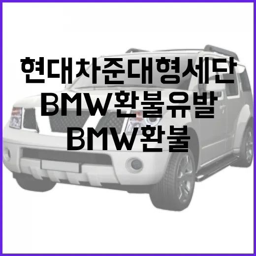 BMW 환불 유발한 현대차 준대형 세단, 후회 없이 고르는 방법 - 요약