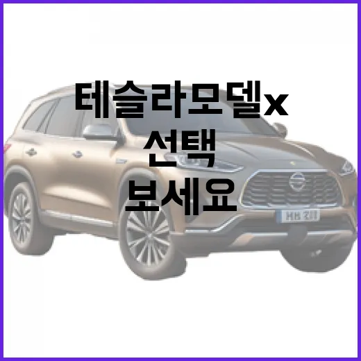 테슬라 모델X 고르려면 이렇게 보세요: 실사용자가 놓치기 쉬운 선택 방법 - 요약