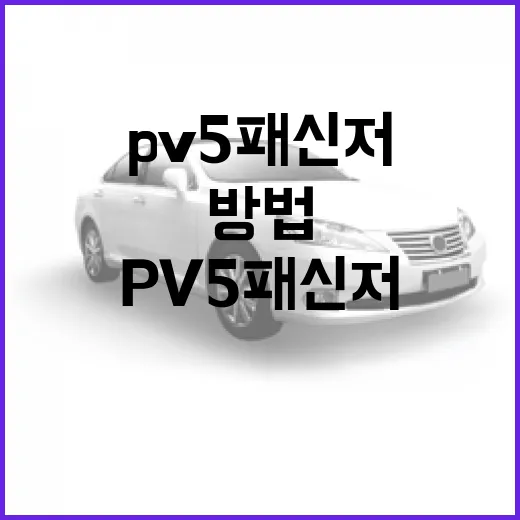 pv5 패신저 고르는 방법, 가족용부터 영업용까지 이렇게 판단하세요 - 요약