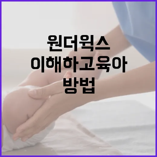 원더윅스를 이해하고 육아에 활용하는 방법 - 요약