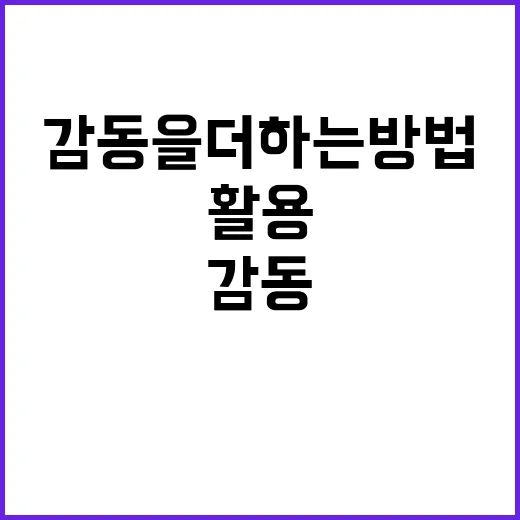 김동현 밈을 활용해 재미와 감동을 더하는 방법 - 요약