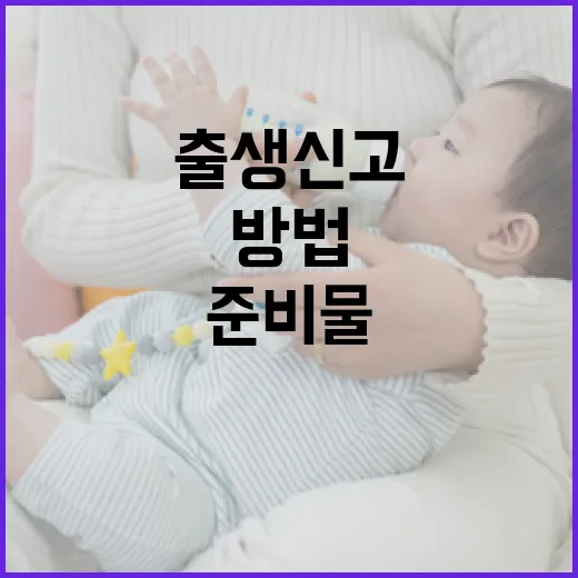 출생신고 준비물을 완벽하게 준비하는 방법 - 요약