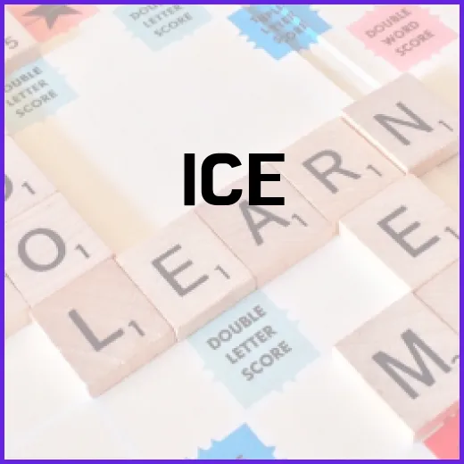 Ice Out의 뜻과 사용하는 방법 - 요약