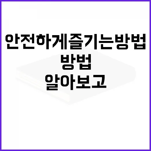 혼모노에 대해 알아보고 안전하게 즐기는 방법 - 요약
