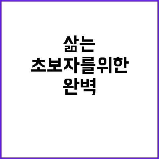 완벽한 계란을 삶는 방법: 초보자를 위한 가이드 - 요약