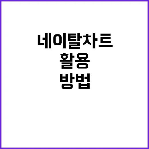 네이탈차트를 이해하고 활용하는 방법 - 요약