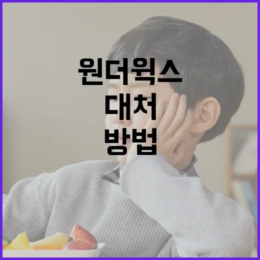 원더윅스를 이해하고 대처하는 방법 - 요약