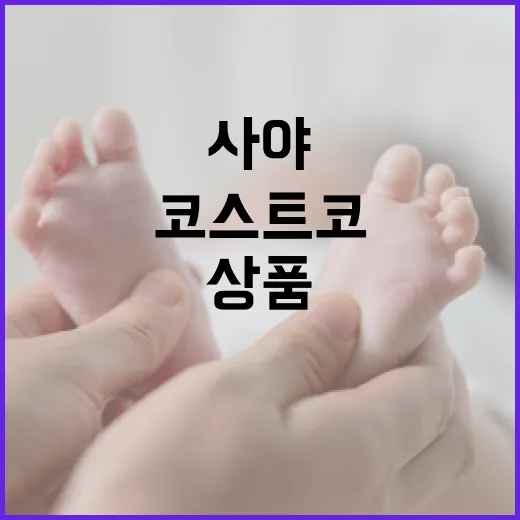 코스트코에서 추천하는 꼭 사야 할 상품들 - 요약