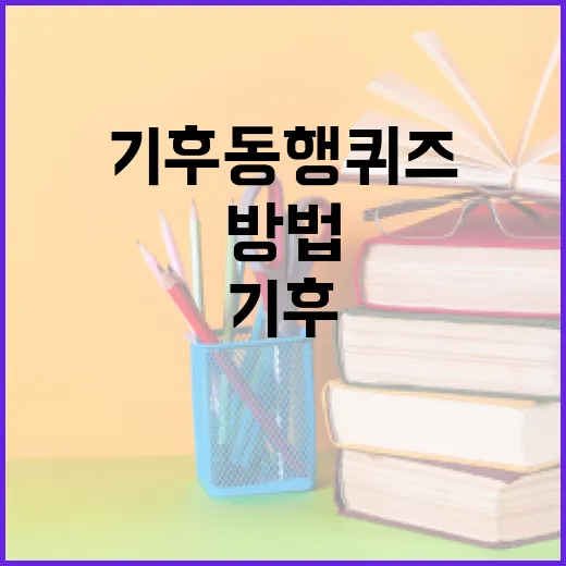 기후동행퀴즈에 성공하는 방법 - 요약