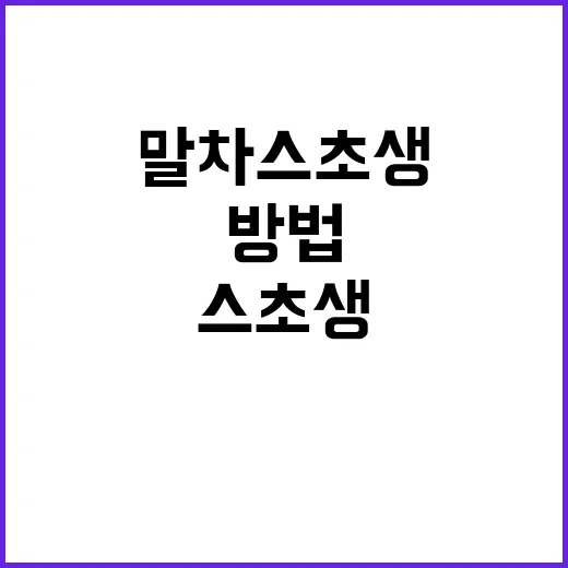 말차 스초생을 제대로 즐기는 방법 - 요약