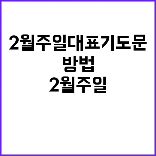 엽불떡을 맛있게 즐기는 방법 - 요약