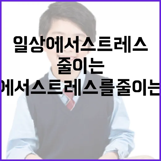 기카노보를 활용하여 일상에서 스트레스를 줄이는 방법 - 요약