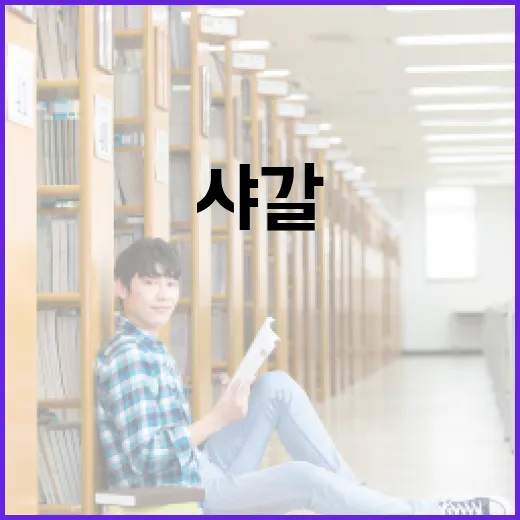 샤갈의 뜻과 그 의미를 이해하는 방법 - 요약