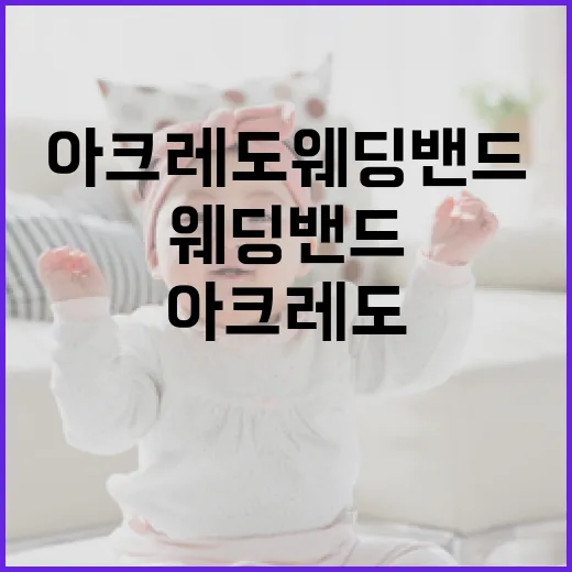 아크레도 웨딩밴드를 선택하는 방법 - 요약