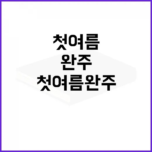 첫여름 완주를 위한 준비 방법 - 요약