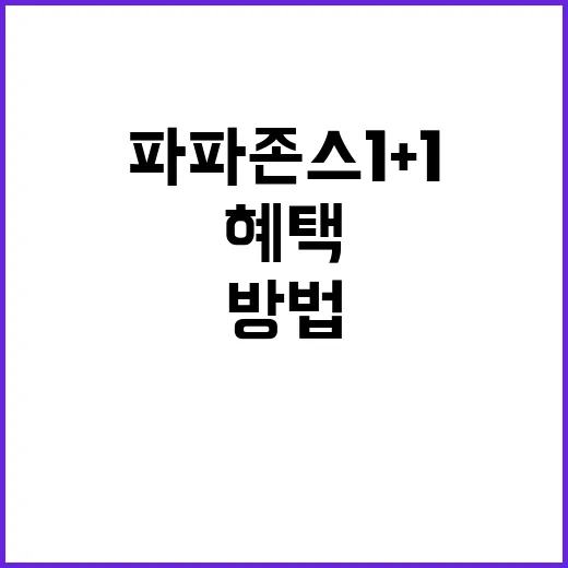 파파존스 1+1 혜택을 최대한 활용하는 방법 - 요약