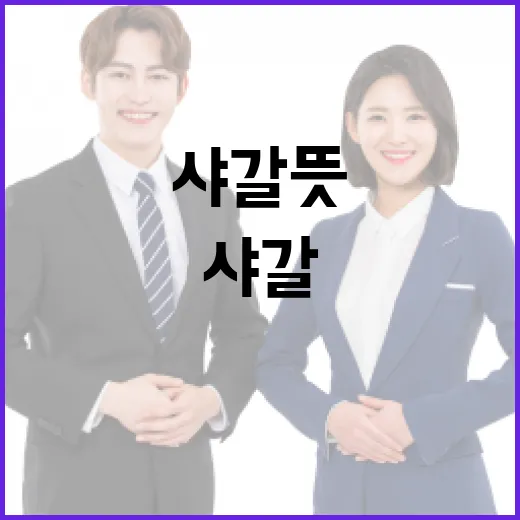 샤갈 뜻을 이해하는 방법과 그의 예술 세계 - 요약