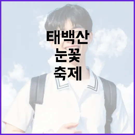 태백산 눈꽃축제를 즐기는 방법 - 요약