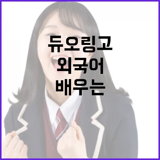 듀오링고로 외국어를 효과적으로 배우는 방법 - 요약