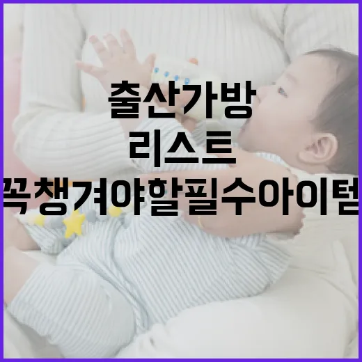 출산가방에 꼭 챙겨야 할 필수 아이템 리스트 - 요약