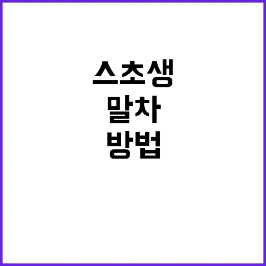 말차스초생을 즐기는 방법: 건강과 맛을 동시에! - 요약