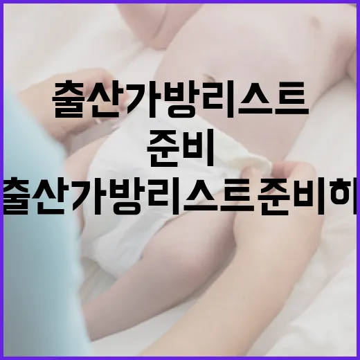 출산가방 리스트 준비하는 방법 - 요약