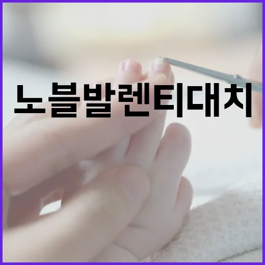 노블발렌티 대치에서 특별한 날을 준비하는 방법 - 요약