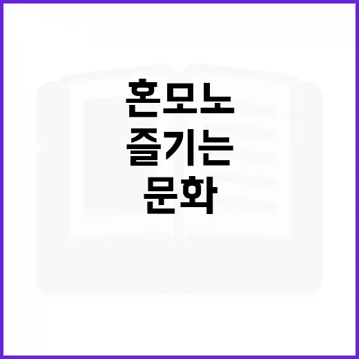혼모노에 대해 알아보고 팬덤 문화를 즐기는 방법 - 요약