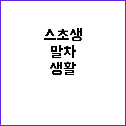 말차스초생을 활용하여 건강하게 생활하는 방법 - 요약
