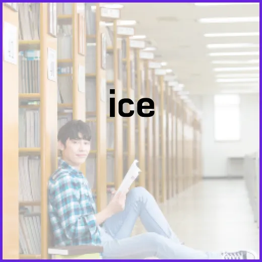 ICE의 뜻과 활용 방법 알아보기 - 요약