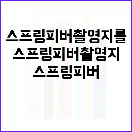 엄석대의 뜻과 활용법 이해하기 - 요약