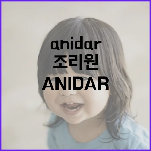 anidar 조리원을 선택하는 방법 - 요약