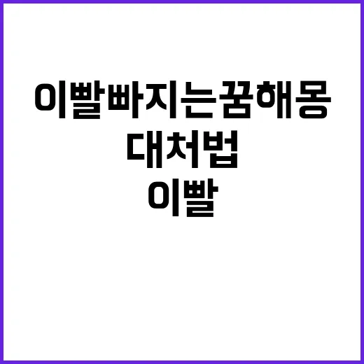 이빨 빠지는 꿈 해…