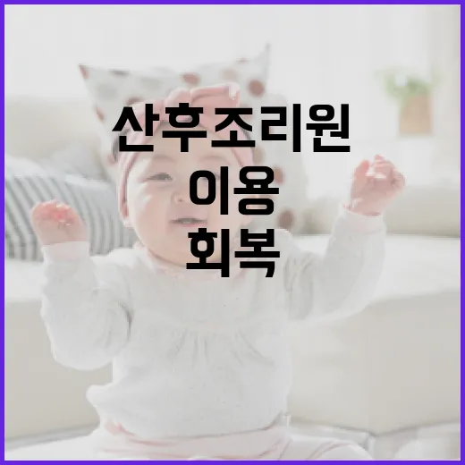산후조리원을 이용하지 않고도 건강하게 회복하는 방법 - 요약