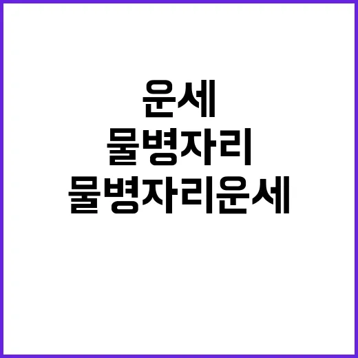 물병자리 운세를 잘 활용하는 방법