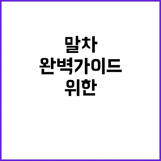 투썸플레이스에서 말차 스콘 초심자를 위한 완벽 가이드