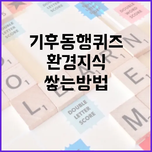 기후동행퀴즈로 환경 지식을 쌓는 방법 - 요약