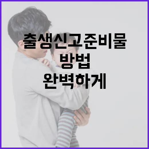 출생신고 준비물을 완벽하게 준비하는 방법 - 요약