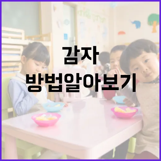 감다살의 뜻과 활용 방법 알아보기 - 요약
