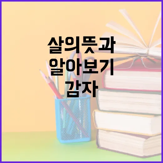감다살의 뜻과 활용법 알아보기 - 요약